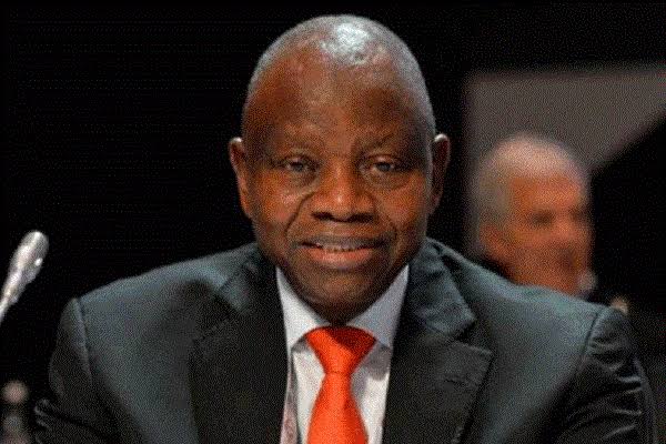 Cover image for Gumel welcomes Oyedeji into IOC