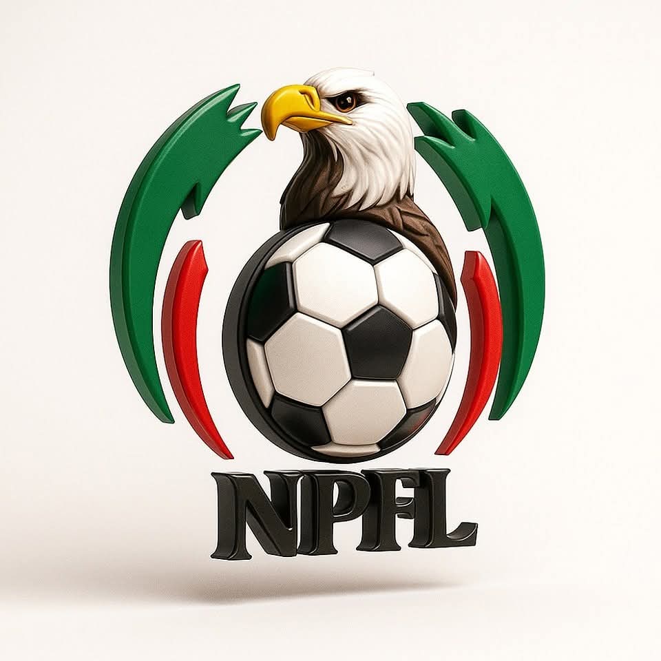 Cover image for NPFL, Club Owners outlaw sale of slots 