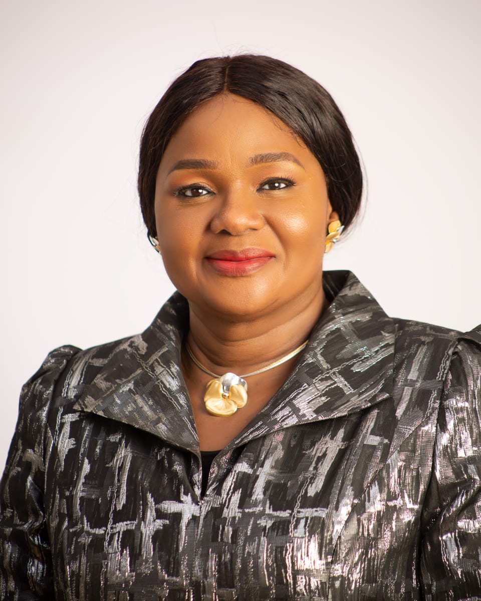 Cover image for NSC appoints Aluko as President of Nigeria Netball Federation